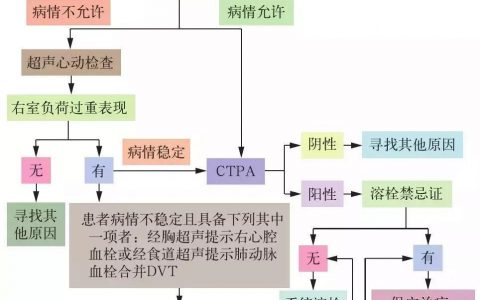 急性肺栓塞诊疗流程图