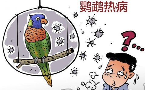 [病例交流] 鹦鹉热衣原体肺炎诊疗病例及CT影像表现
