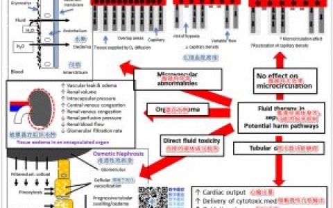 文献解析:脓毒症急性肾损伤