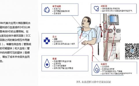 血液透析中的抗凝治疗：描述性综述