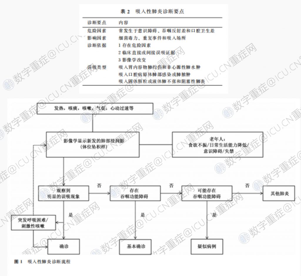 成人吸入性肺炎诊断和治疗专家建议(2022)