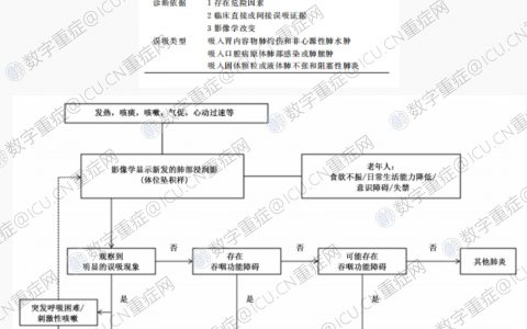 成人吸入性肺炎诊断和治疗专家建议(2022)