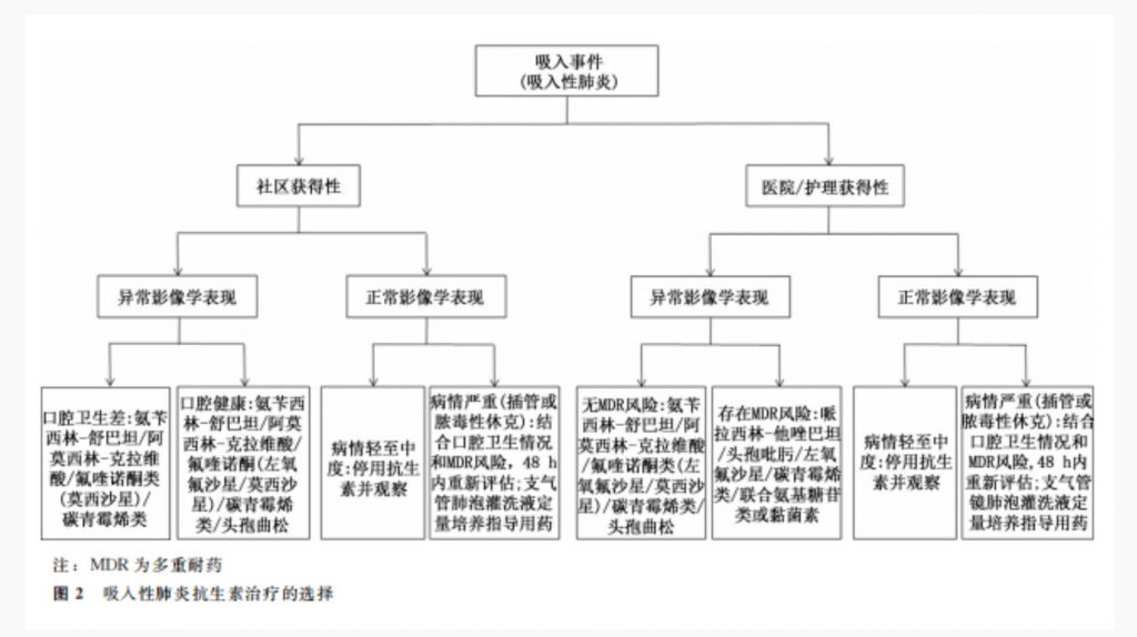 成人吸入性肺炎诊断和治疗专家建议(2022)