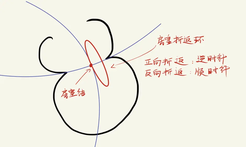 抗心律失常药物的药理学作用和临床选择