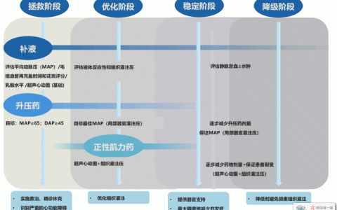 脓毒性休克患者血流动力学个体化管理
