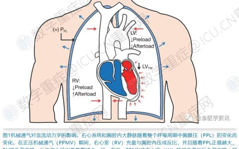 刘大为丨休克复苏："大循环－微循环"偶联的提出与内涵