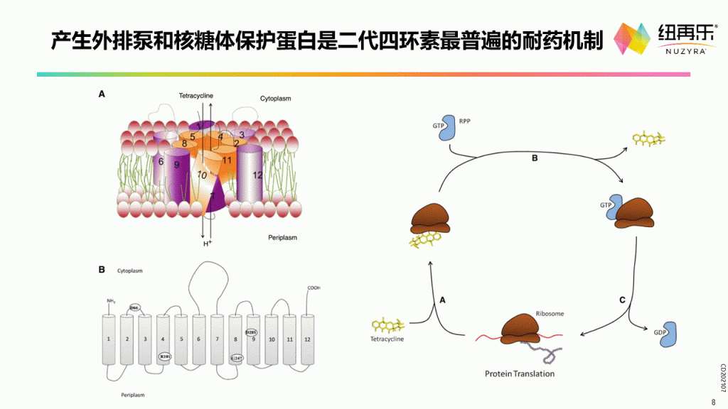 奥马环素—第三代社区四环素