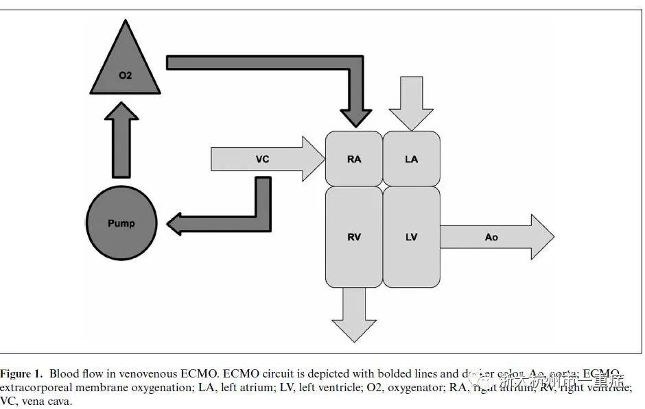 ECMO肠内营养的安全性、耐受性和结局