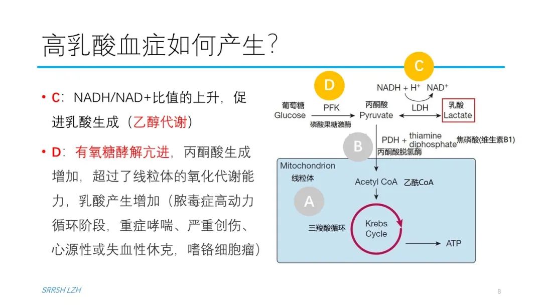 血流动力学系列- 乳酸