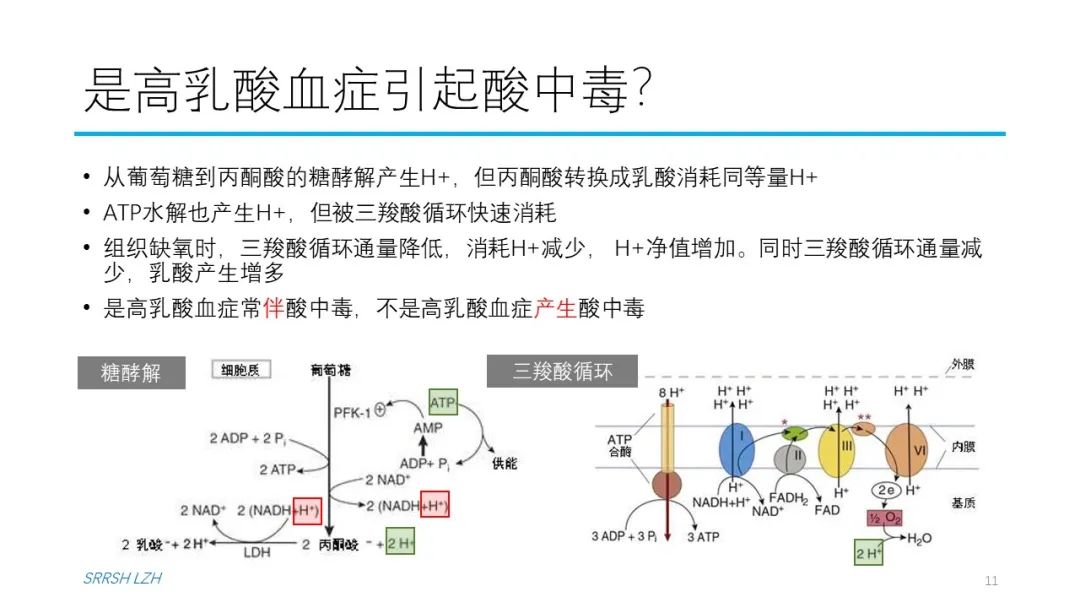 血流动力学系列- 乳酸