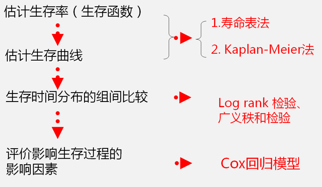 Cox回归，不懂的话来看这篇  | 30天学会医学统计与SPSS公益课(D26)
