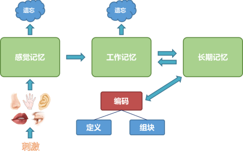应用认知负荷理论辅助临床教学