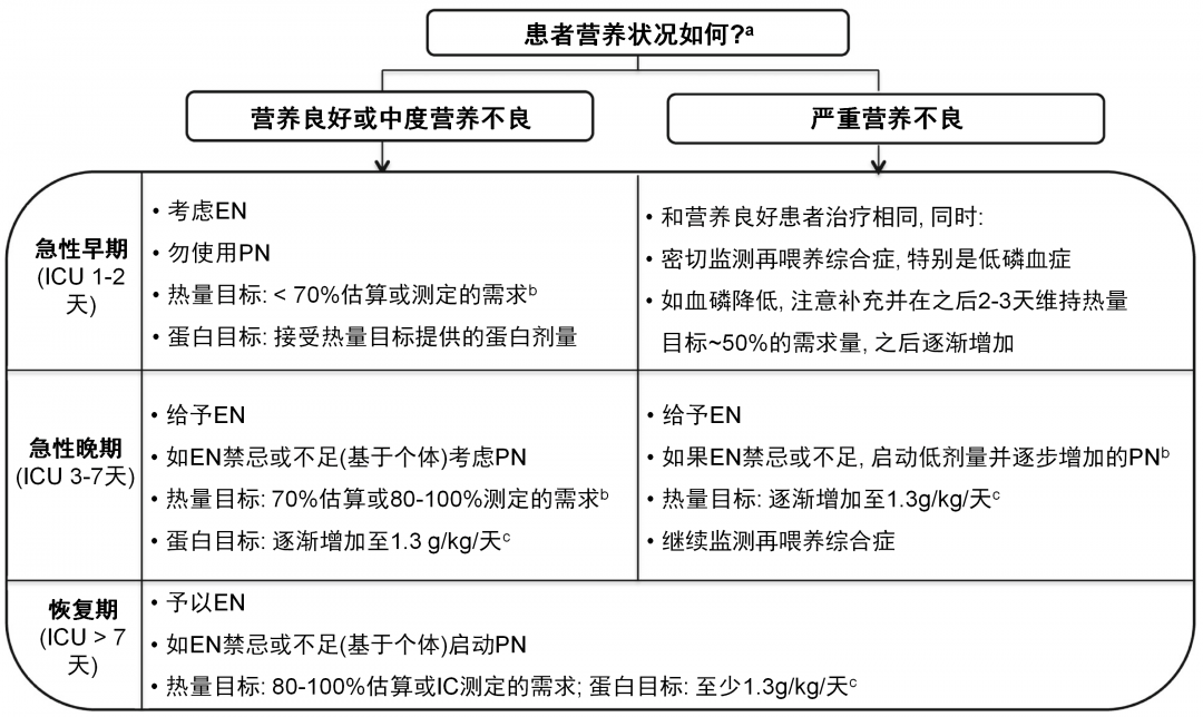 重症营养治疗: 临床文献综述