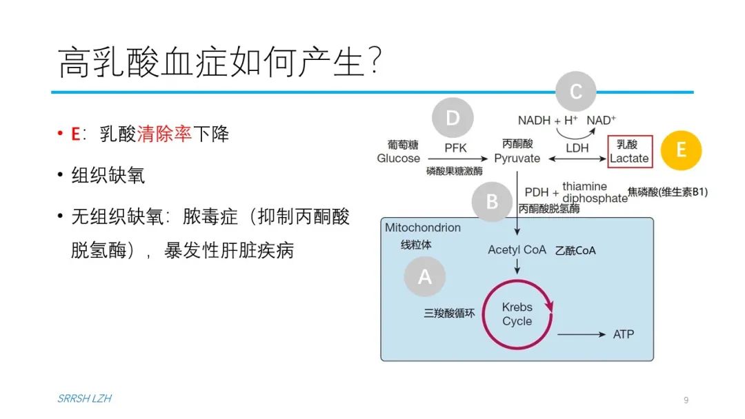 血流动力学系列- 乳酸