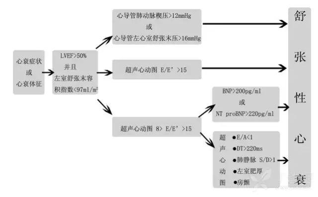 手把手教你解读超声心动图报告单