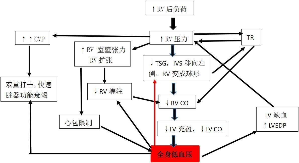 ICU急性右心衰竭的评估与管理
