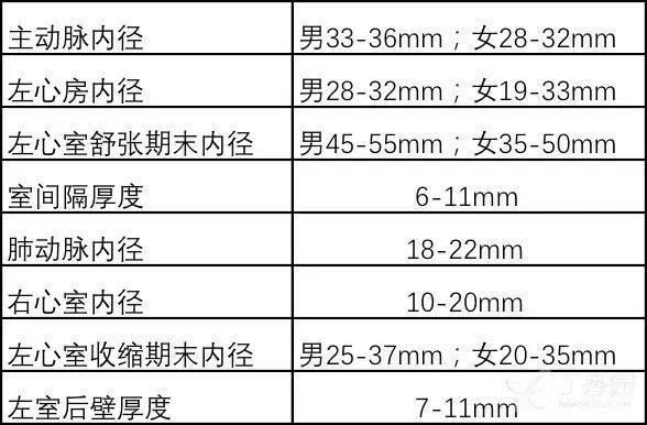 手把手教你解读超声心动图报告单