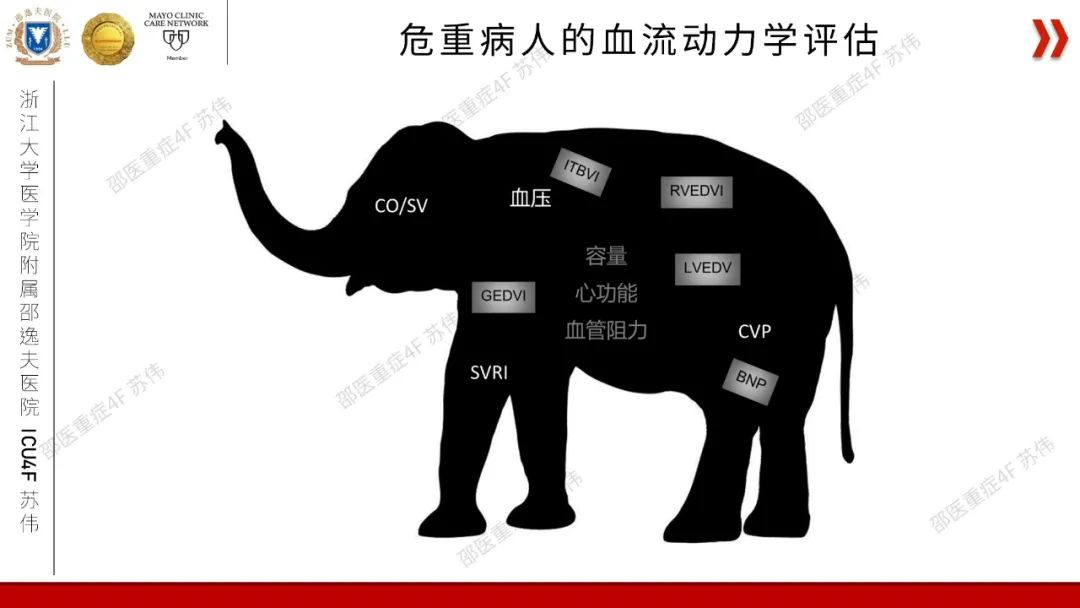 血流动力学系列-肺动脉楔压(PAWP)