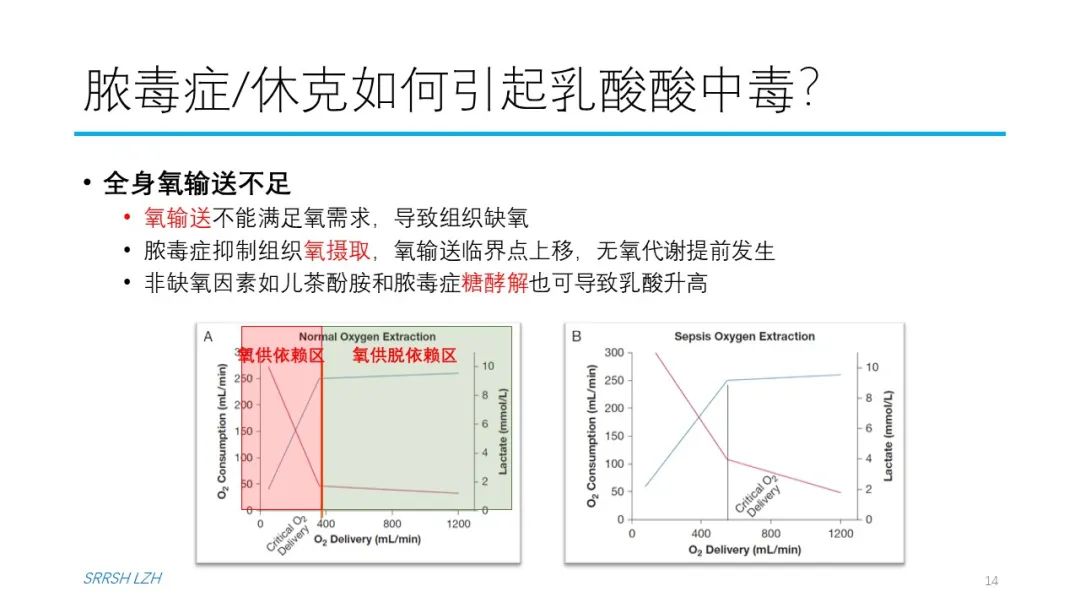 血流动力学系列- 乳酸