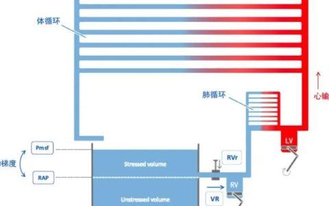 静脉回流和平均体循环充盈压：生理学和临床应用