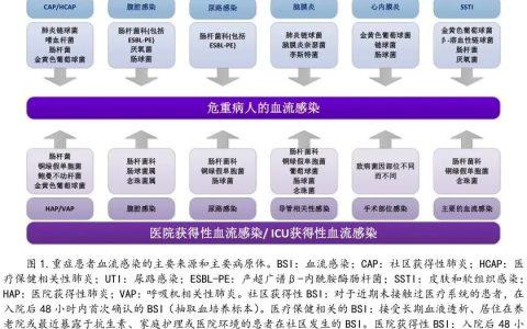 重症患者血流感染的法国专家声明 2020