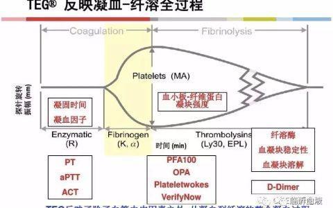 凝血功能之活化部分凝血活酶时间-APTT