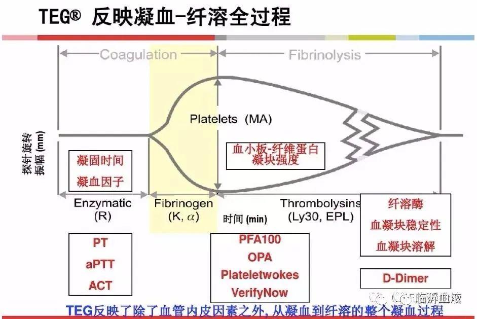 凝血功能之活化部分凝血活酶时间-APTT