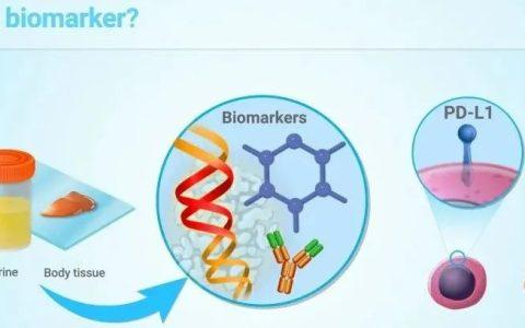 脓毒症的生物标志物:不仅仅只有发热和白细胞升高-一篇叙述性综述