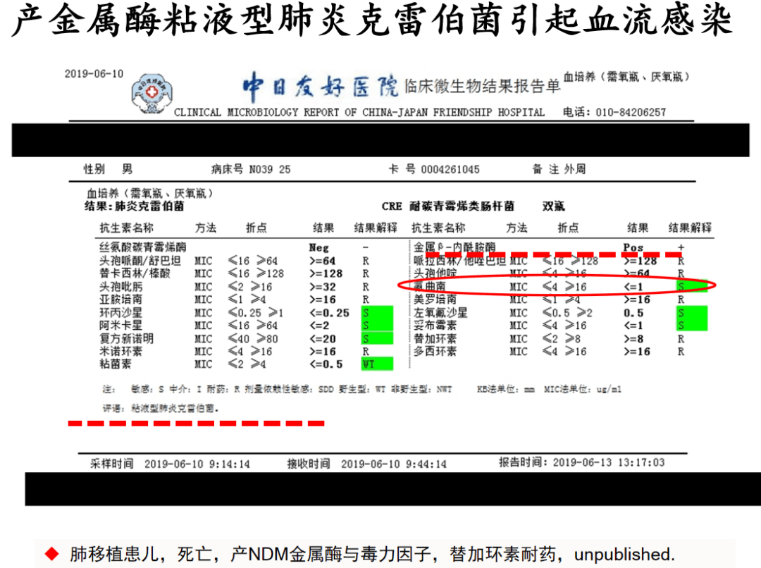 鲁炳怀教授：「血流感染」约占死亡率27%，「新型抗生素」已现耐药？……从常见革兰阴性杆菌血流感染的机制、起源与诊断谈起