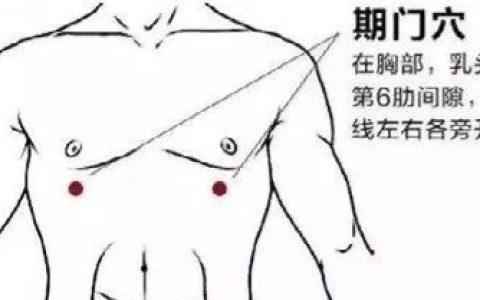 ［医师保健］为肝脏“出谋划策、排忧解难”的期门穴