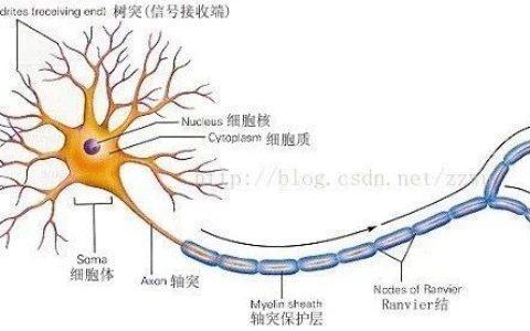 深度学习1：初识神经网络