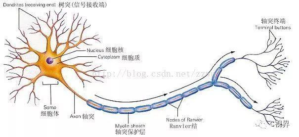 深度学习1：初识神经网络