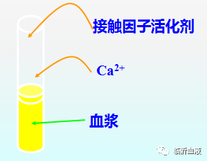 凝血功能之活化部分凝血活酶时间-APTT