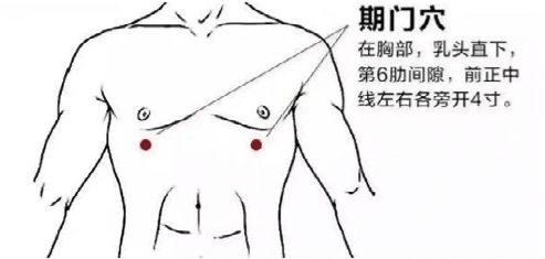 ［一日一穴］为肝脏“出谋划策、排忧解难”的期门穴