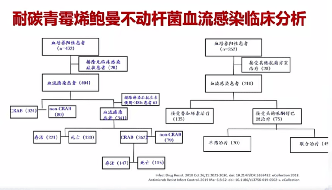 肖永红教授：碳青霉烯类耐药鲍曼不动杆菌感染诊治