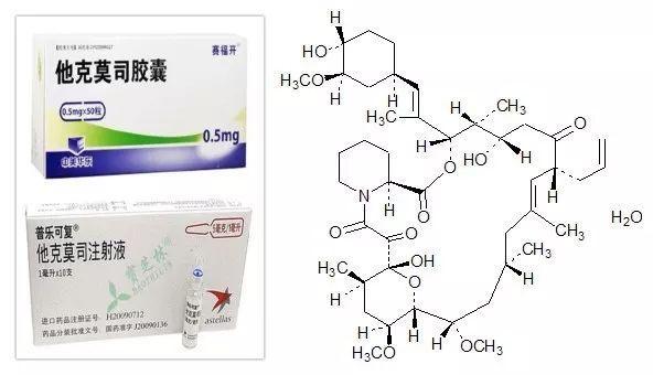 他克莫司个体化给药