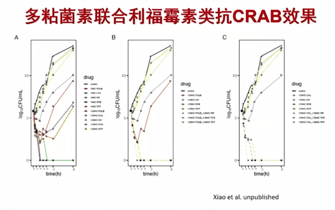 肖永红教授：碳青霉烯类耐药鲍曼不动杆菌感染诊治