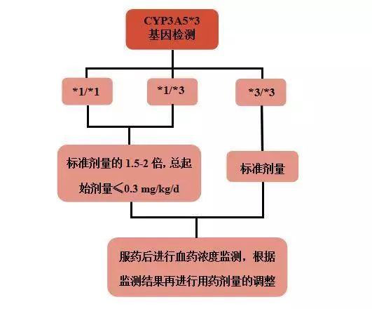 他克莫司个体化给药