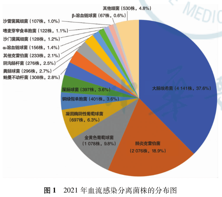 肖永红教授：碳青霉烯类耐药鲍曼不动杆菌感染诊治