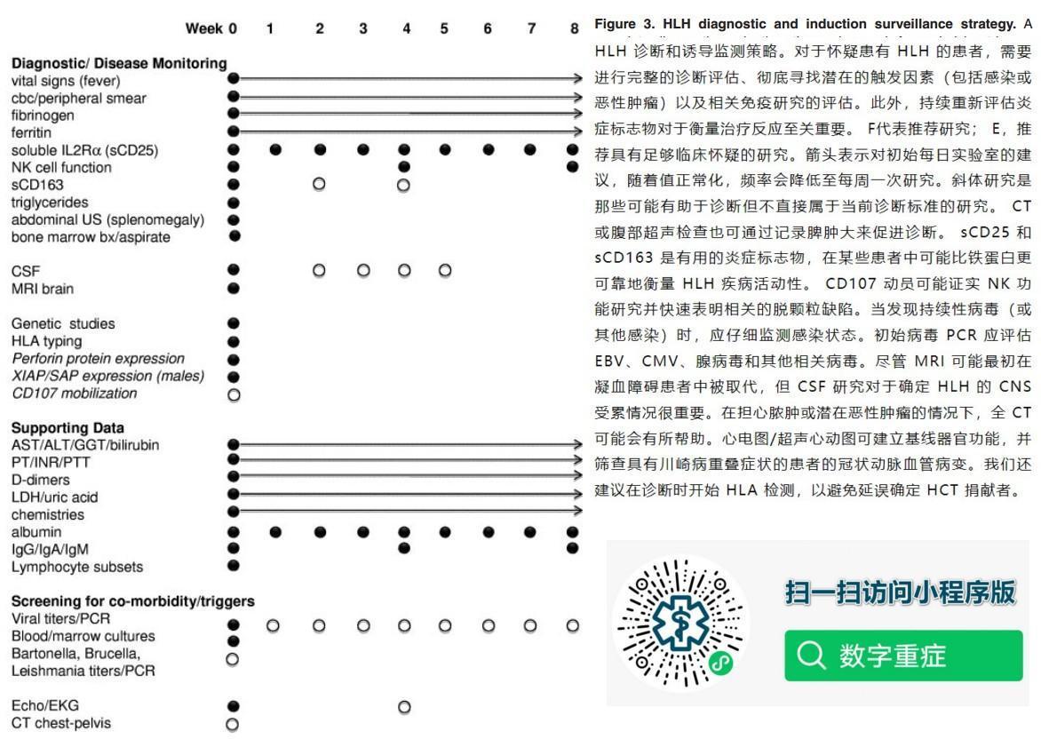 我如何治疗成人噬血细胞综合征