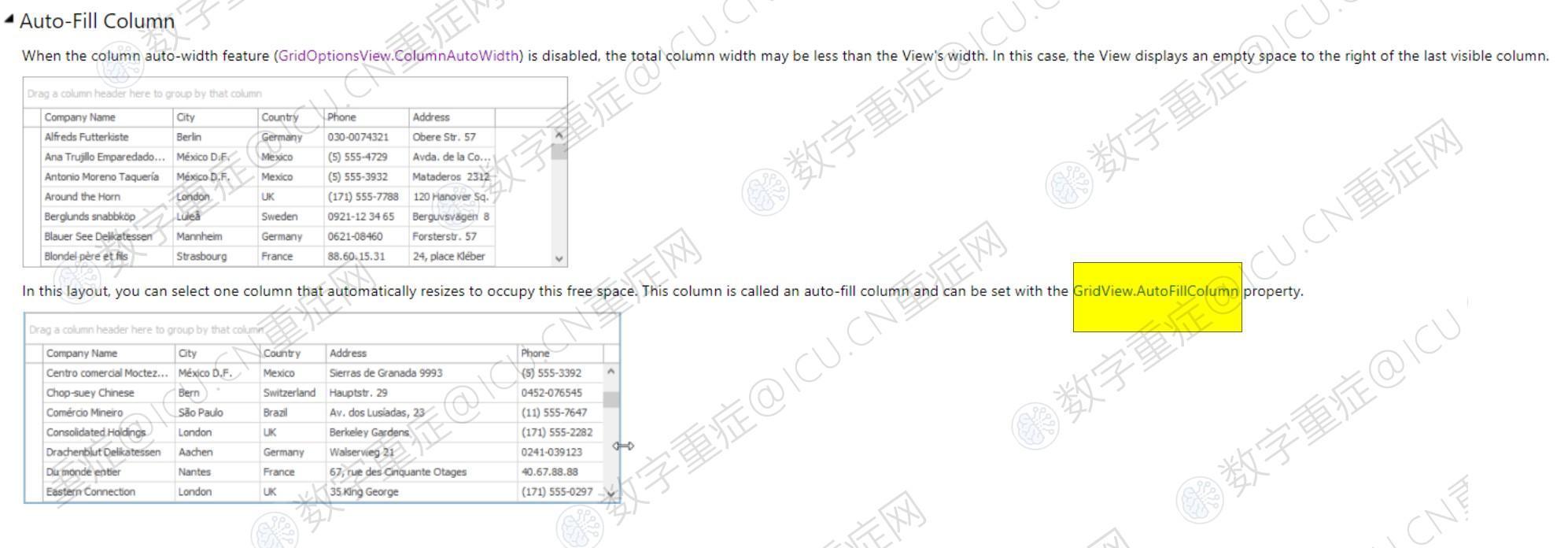 当列自动宽度功能（GridOptionsView.ColumnAutoWidth）被禁用时，总列宽度可能会小于视图的宽度，导致出现空白区域