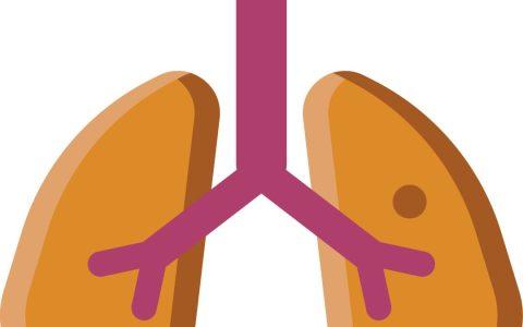 经鼻高流量氧疗临床麻醉规范应用专家共识（2023）