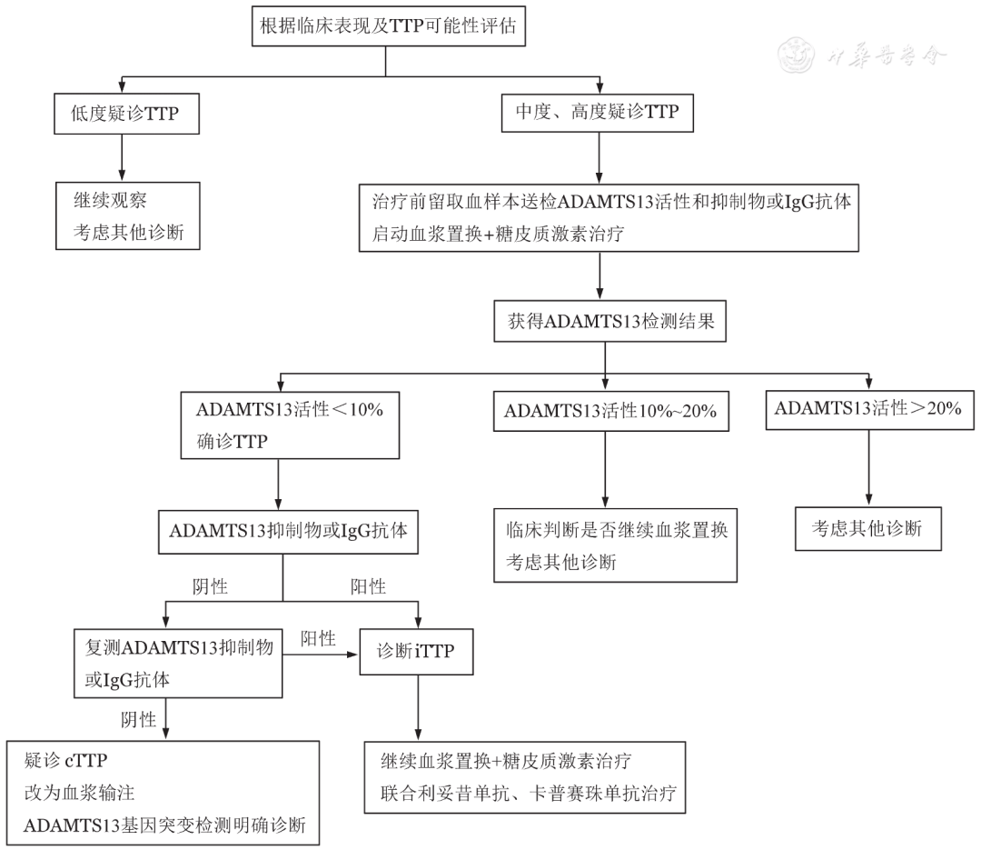血栓性血小板减少性紫癜诊断与治疗中国指南(2022年版) 血栓性血小板减少性紫癜诊断与治疗中国指南(2022年版)