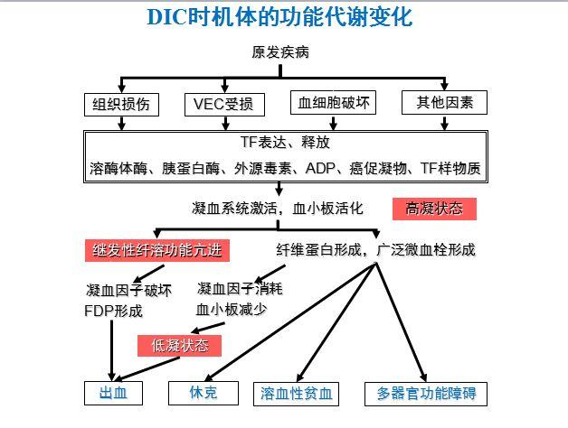 彻底讲清DIC，还得是这篇文章！