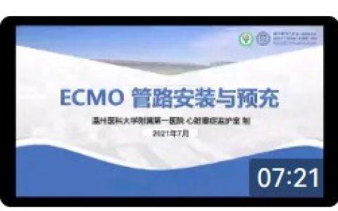ECMO系统安装及预充