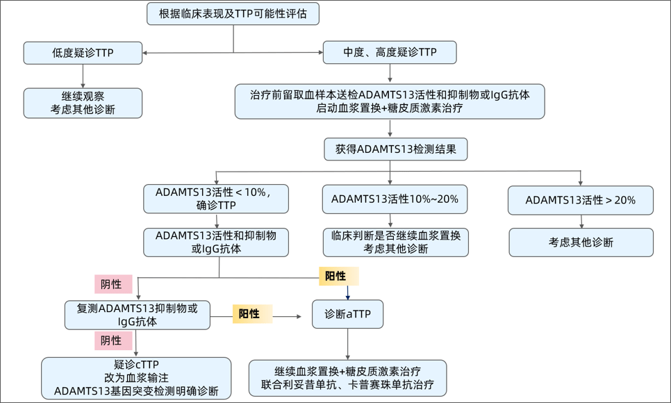 一文读懂：血栓性血小板减少性紫癜的发病机制及诊断流程