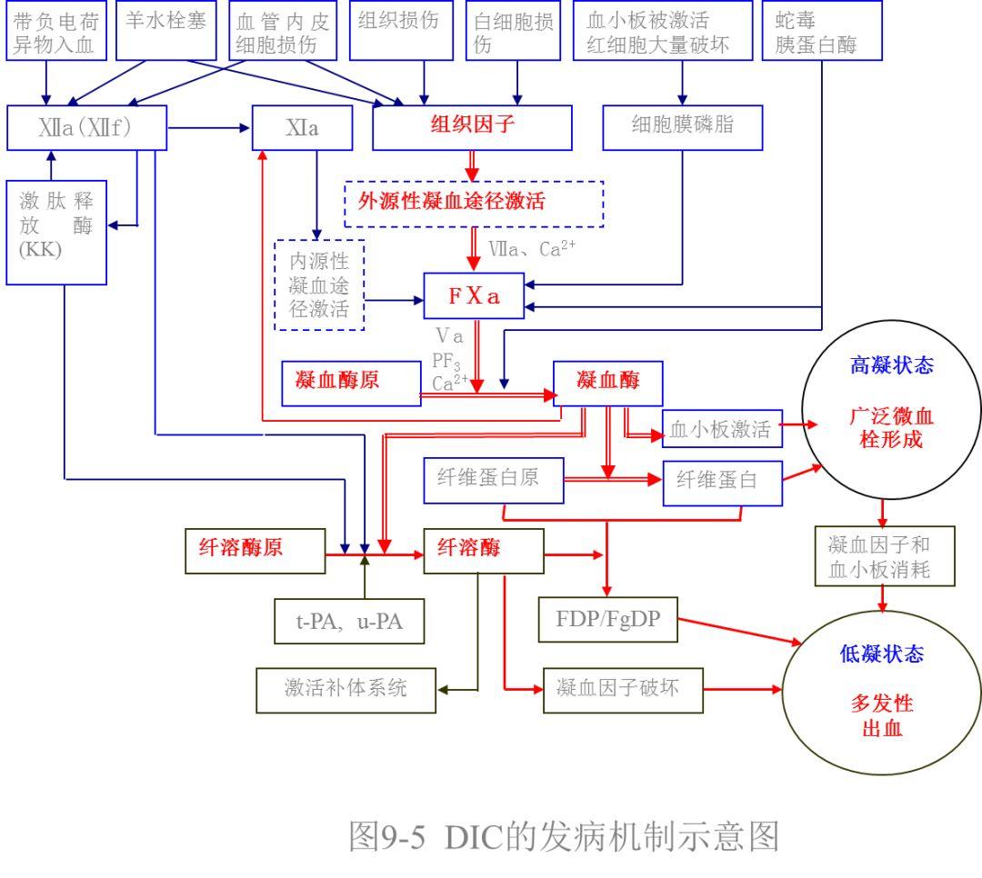 彻底讲清DIC，还得是这篇文章！