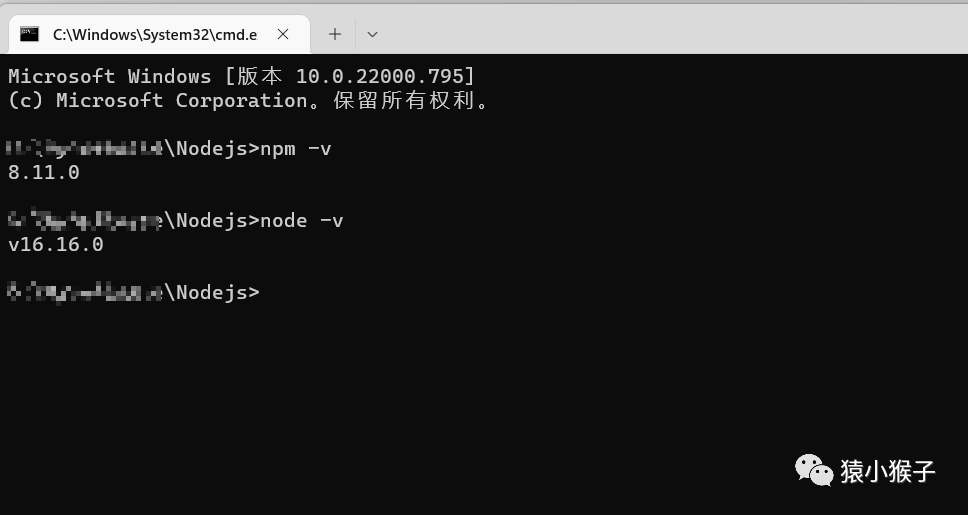 Windows 11 下Nodejs安装与包管理器配置