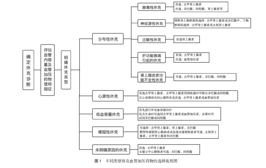 血管加压药物在急诊休克中的应用专家共识 血管加压药物在急诊休克中的应用专家共识