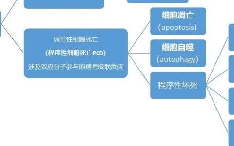 细胞死亡分类，以及程序性死亡之经典的凋亡